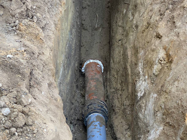 Best Basement water damage restoration  in Mount Carmel, OH