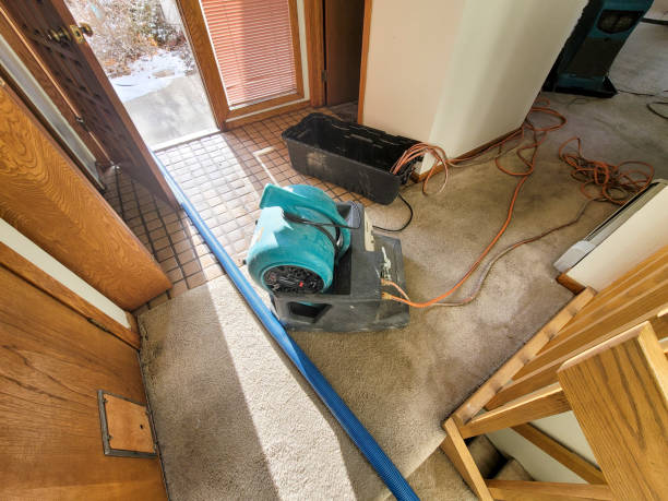 Best Water damage restoration cost  in Mount Carmel, OH