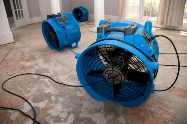Sewage cleanup and water damage restoration in Mount Carmel, OH