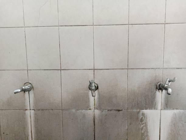 Best Residential water damage restoration  in Mount Carmel, OH