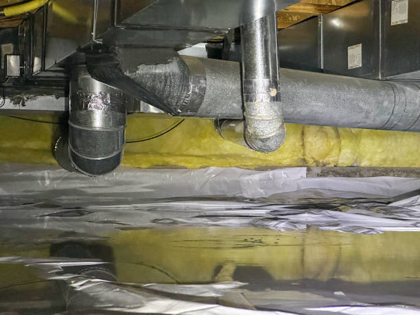 Best Carpet water damage restoration  in Mount Carmel, OH