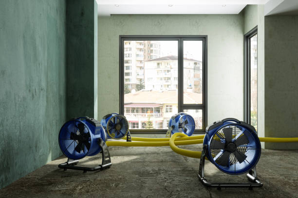 Best Commercial water damage restoration  in Mount Carmel, OH