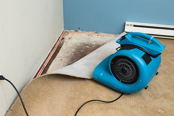 Best Water damage restoration specialists  in Mount Carmel, OH